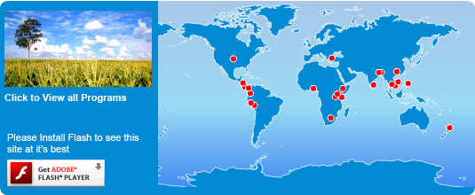 Volunteering Around the World